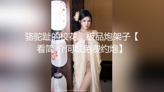 【高颜萝莉❤️重磅核弹】极品双马尾萝莉『Asuku』最新付费性爱私拍 车震无套后入 内射粉穴 美乳翘臀 高清720P原版 (6)