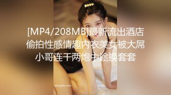 如此佳人 值得试驾 婕咪-日租女友遊樂趣[212P+2V/1.4G]