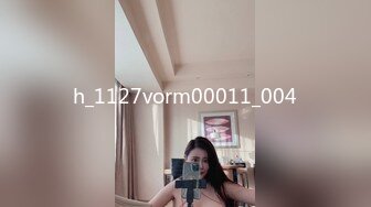 h_1127vorm00011_004