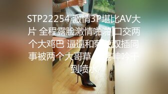 麻豆传媒 MGL-0004 沉溺偷情的淫乱姐妹 绿帽老公怒操小姨子