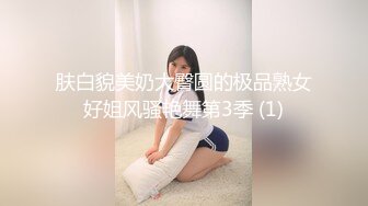 欧美vixen公司出品系列,(16)