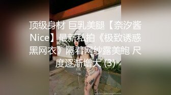 顶级身材 巨乳美腿【奈汐酱Nice】最新私拍《极致诱惑黑网衣》隔着网纱露美鲍 尺度逐渐增大 (3)