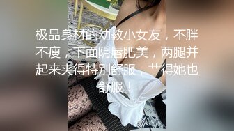 《百度云泄密》纹身哥和极品女友啪啪啪视频被曝光