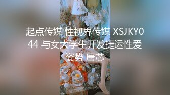 一只小胖猪8-21