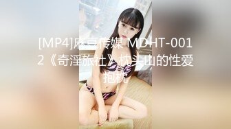 [MP4]麻豆传媒 MDHT-0012《奇淫旅社》枕头山的性爱抱枕