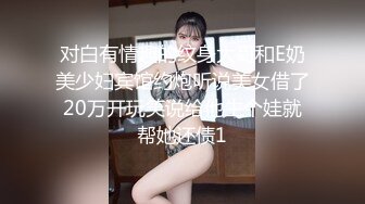 麻豆传媒 MD-0213 巨乳少妇肉体偿债