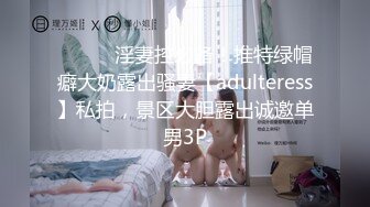 ⚫️⚫️淫妻控必备！推特绿帽癖大奶露出骚妻【adulteress】私拍，景区大胆露出诚邀单男3P