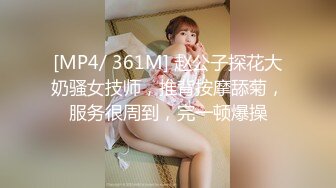 学園イチ可愛い学級委員長はめちゃくちゃエッチな中出し美少女 波木はるか