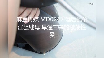 麻豆传媒 MD0247 酒后乱伦淫骚继母 旱逢甘霖的激荡性爱