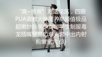 放浪传媒FX-0003傲慢女上司