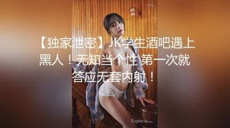 巨乳列传 - 第五部 - 乳之圣殿 各种巨乳第一视角