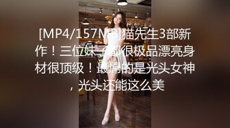 国产麻豆AV MSG MSG0001 迷情圣诞夜 新人女优 黎儿