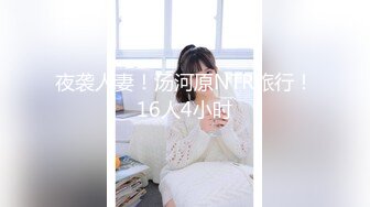 夜袭人妻！汤河原NTR旅行！16人4小时