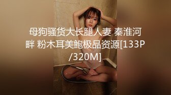 母狗骚货大长腿人妻 秦淮河畔 粉木耳美鲍极品资源[133P/320M]