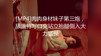 [MP4]肉肉身材妹子第三炮，舔逼特写口交站立抬腿侧入大力猛操