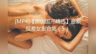 最新网红少女『恶犬』VIP私人定制唯美红玫瑰黑旗袍 美乳肌肤 振动器按摩嫩穴 搔首弄姿 浪叫高潮 