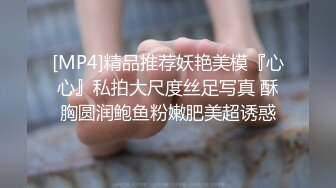 双女s女奴母狗调教