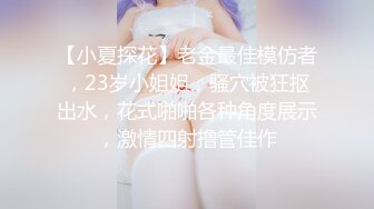 【小夏探花】老金最佳模仿者，23岁小姐姐，骚穴被狂抠出水，花式啪啪各种角度展示，激情四射撸管佳作