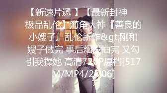 麻豆传媒 MCY-0027《空姐女友被强暴》-苏清歌