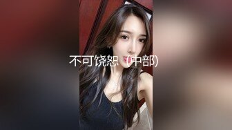 大陸小青蛙之網吧搭訕巨乳妹包間口交情侶酒店穿上女僕裝狂肏等 (3)