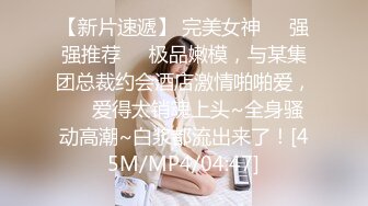 麻豆传媒 MD-0265 丰满汽车女销售的车震推销-莫夕慈