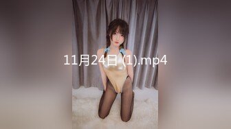 11月24日 (1).mp4