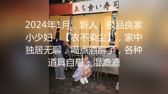 2024年1月，新人，极品良家小少妇，【衣不染尘】，家中独居无聊，喝点酒醉了，各种道具自慰，湿漉漉