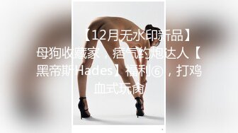 ⚫️⚫️【12月无水印新品】母狗收藏家，痞气约炮达人【黑帝斯Hades】福利⑥，打鸡血式玩肏