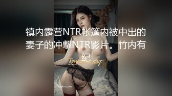 镇内露营NTR帐篷内被中出的妻子的冲撃NTR影片。竹内有纪