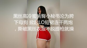 透明内裤，性感肥厚的阴唇2