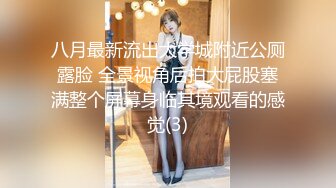 牛B大神商场女厕暗藏摄像头偷窥53位美女少妇嘘嘘 (17)