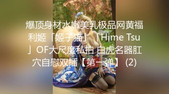 爆顶身材水嫩美乳极品网黄福利姬「姬子猫」「Hime Tsu」OF大尺度私拍 白虎名器肛穴自慰双插【第一弹】 (2)