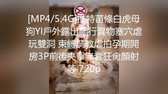 [MP4]顶级女神超级丝袜控180大长腿女神▌苹果▌我的室友 第十篇 旅游风景美无内大白腿