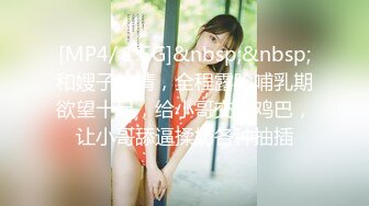 [MP4/ 264M] 帅小伙约操良家美少妇啪啪,扛大腿干“不要停,快操我的逼”