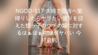 NGOD-117 夫婦で田舎へ里帰りしたらヤリたい盛りを迎えた甥っ子のウチの嫁に対するはぁはぁ視線がヤバい 今井夏帆