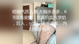 糖心Vlog 肉丝长腿女模下海记 淑怡