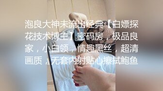 泡良大神未流出经典【白嫖探花技术博主】密码房，极品良家，小白领，情趣黑丝，超清画质，无套内射贴心擦拭鲍鱼