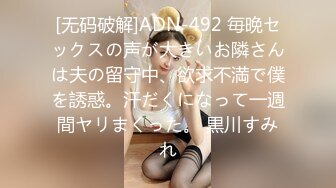 91制片厂 ZCM012 榨精女仆的情色清洁 李娜娜