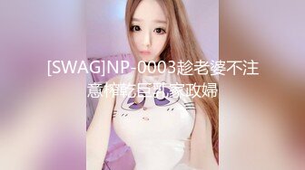 [SWAG]NP-0003趁老婆不注意榨乾巨乳家政婦