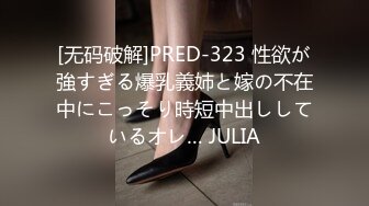 [无码破解]PRED-323 性欲が強すぎる爆乳義姉と嫁の不在中にこっそり時短中出ししているオレ… JULIA