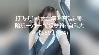 打飞机1v1大合集2, 高端裸聊陪玩一对一 御姐萝莉~自慰大秀【55V】 (54)