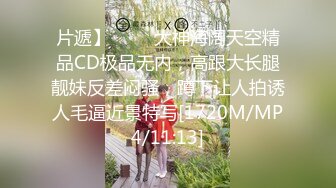 片遞】 ⚡⚡⚡大神海阔天空精品CD极品无内，高跟大长腿靓妹反差闷骚，蹲下让人拍诱人毛逼近景特写[1720M/MP4/11:13]