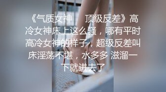 《气质女神㊙️顶级反差》高冷女神床上这么骚，哪有平时高冷女神的样子，超级反差叫床淫荡不堪，水多多 滋溜一下就进去了