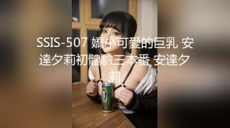 捷克更衣室美女试穿内衣偷拍系列 (33)