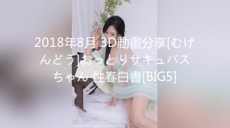 2018年8月 3D動畫分享[むげんどう]おっとりサキュバスちゃん 性春白書[BIG5]