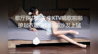 歌厅探花陈先生KTV唱歌啪啪 撩起衣服吸奶舔逼沙发上猛操